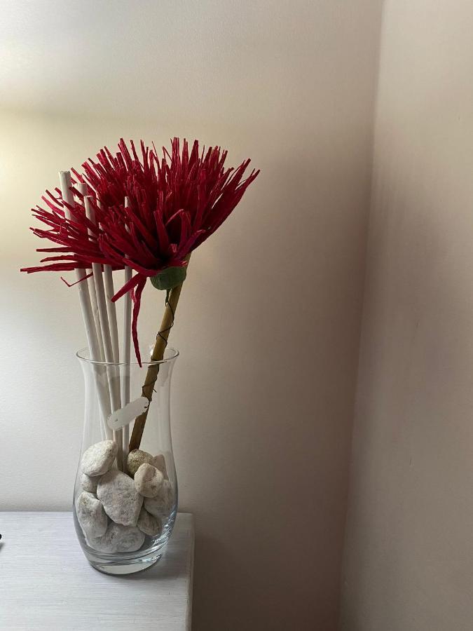 Bed & Breakfast Mafi Orsogna Bagian luar foto