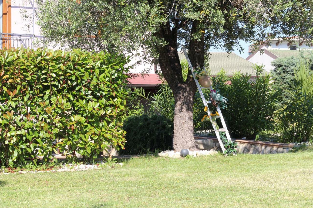 Bed & Breakfast Mafi Orsogna Bagian luar foto